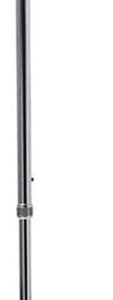 Walking Stick (Lightweight Bronze)
