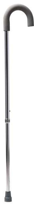Walking Stick (Lightweight Bronze)