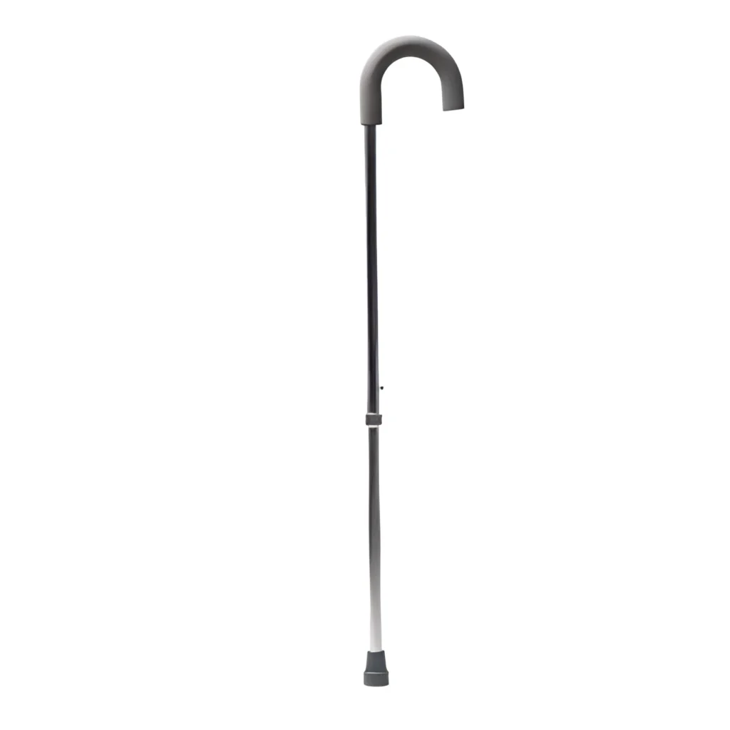Walking Stick (Lightweight Bronze)