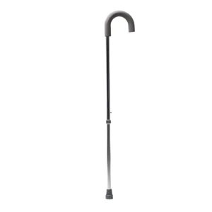 Walking Stick (Lightweight Bronze)