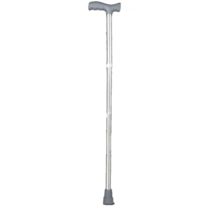 Walking Stick (Silver Standard)