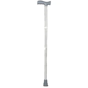 Walking Stick (Silver Standard)